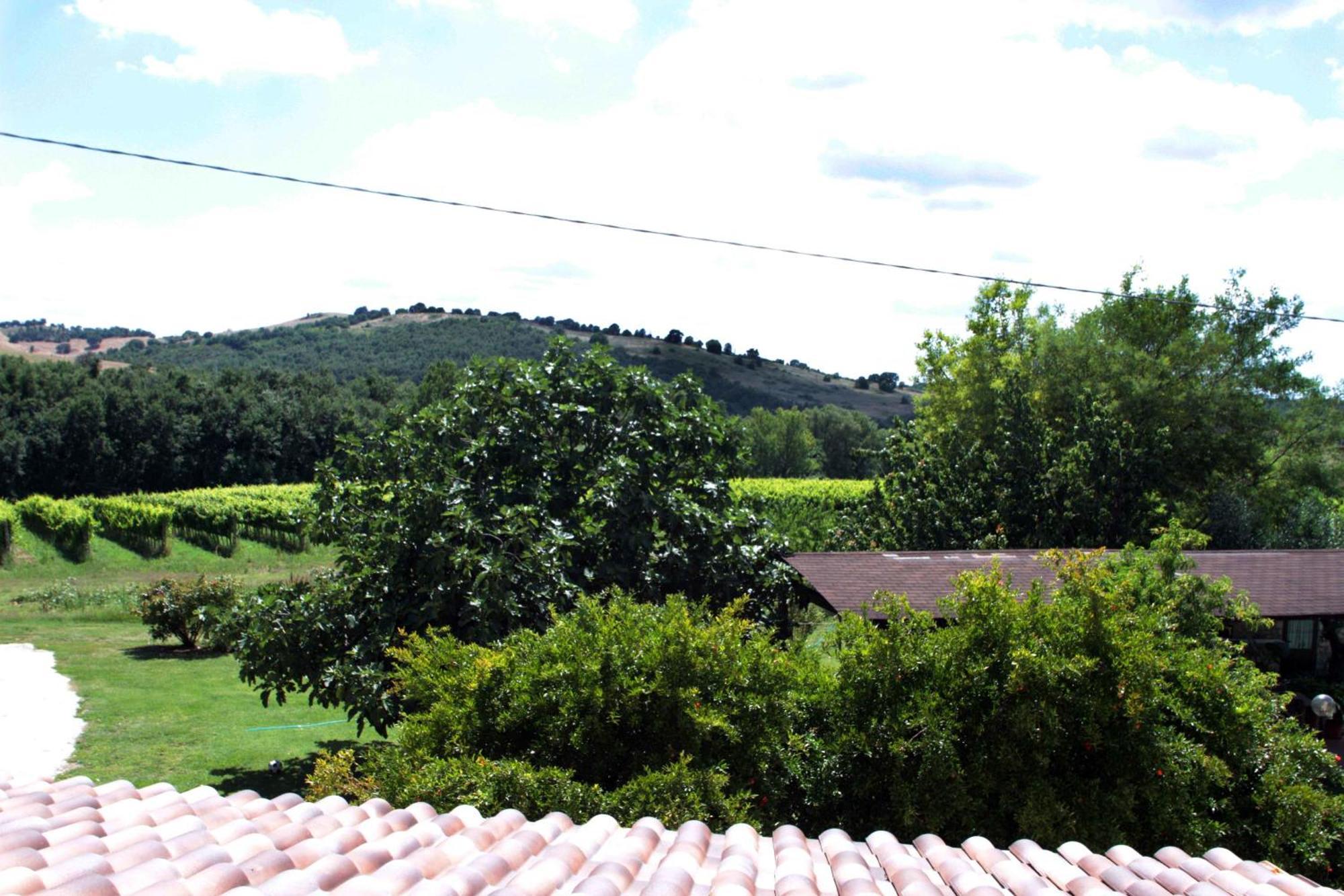 Agriturismo La Vecchia Quercia 蒙特马拉诺 外观 照片