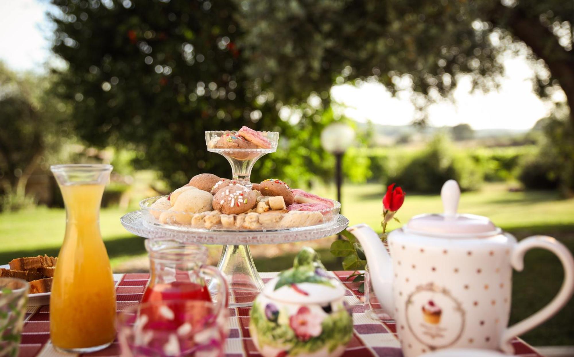 Agriturismo La Vecchia Quercia 蒙特马拉诺 外观 照片